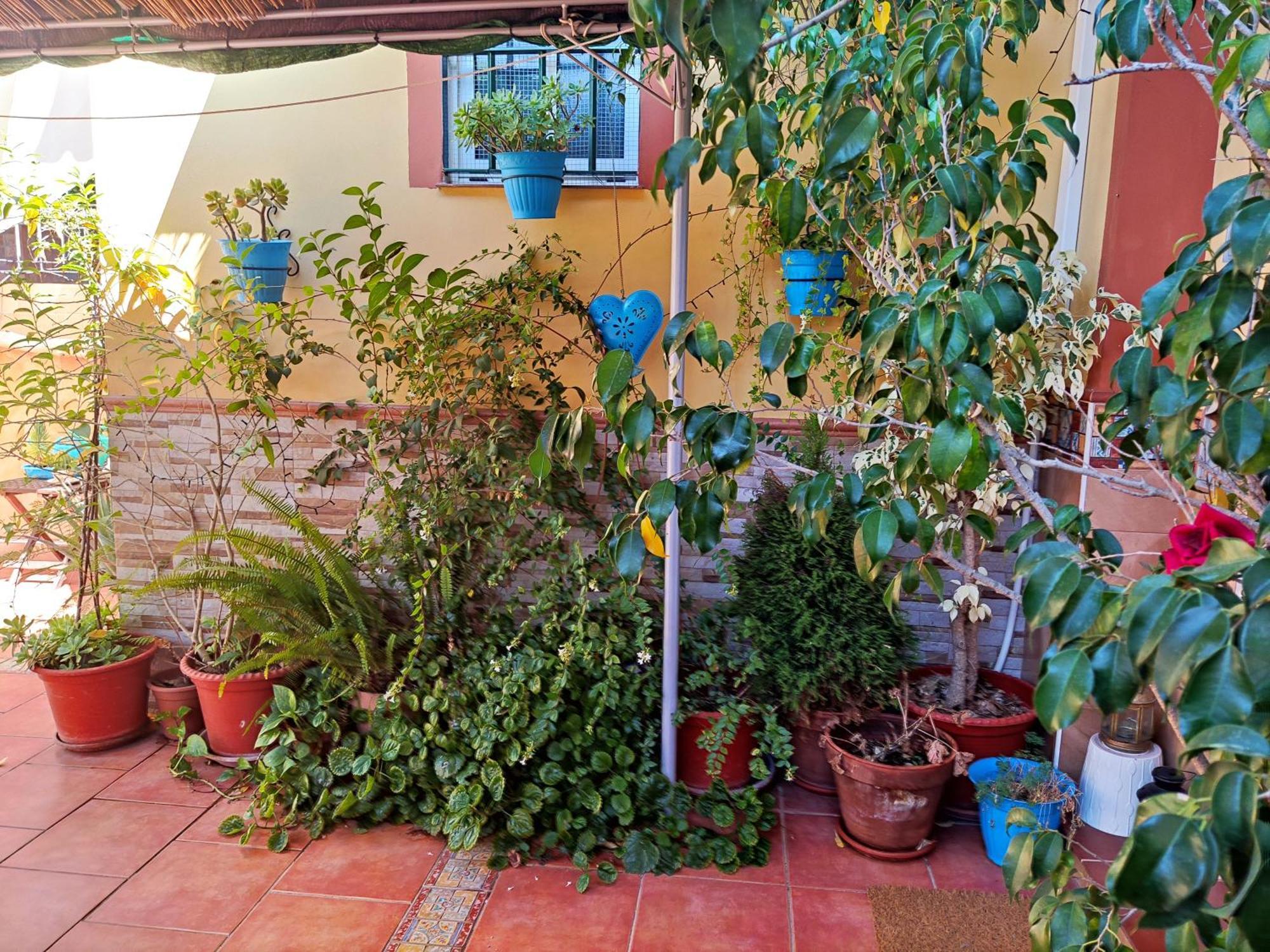 Cool Garden Apartment