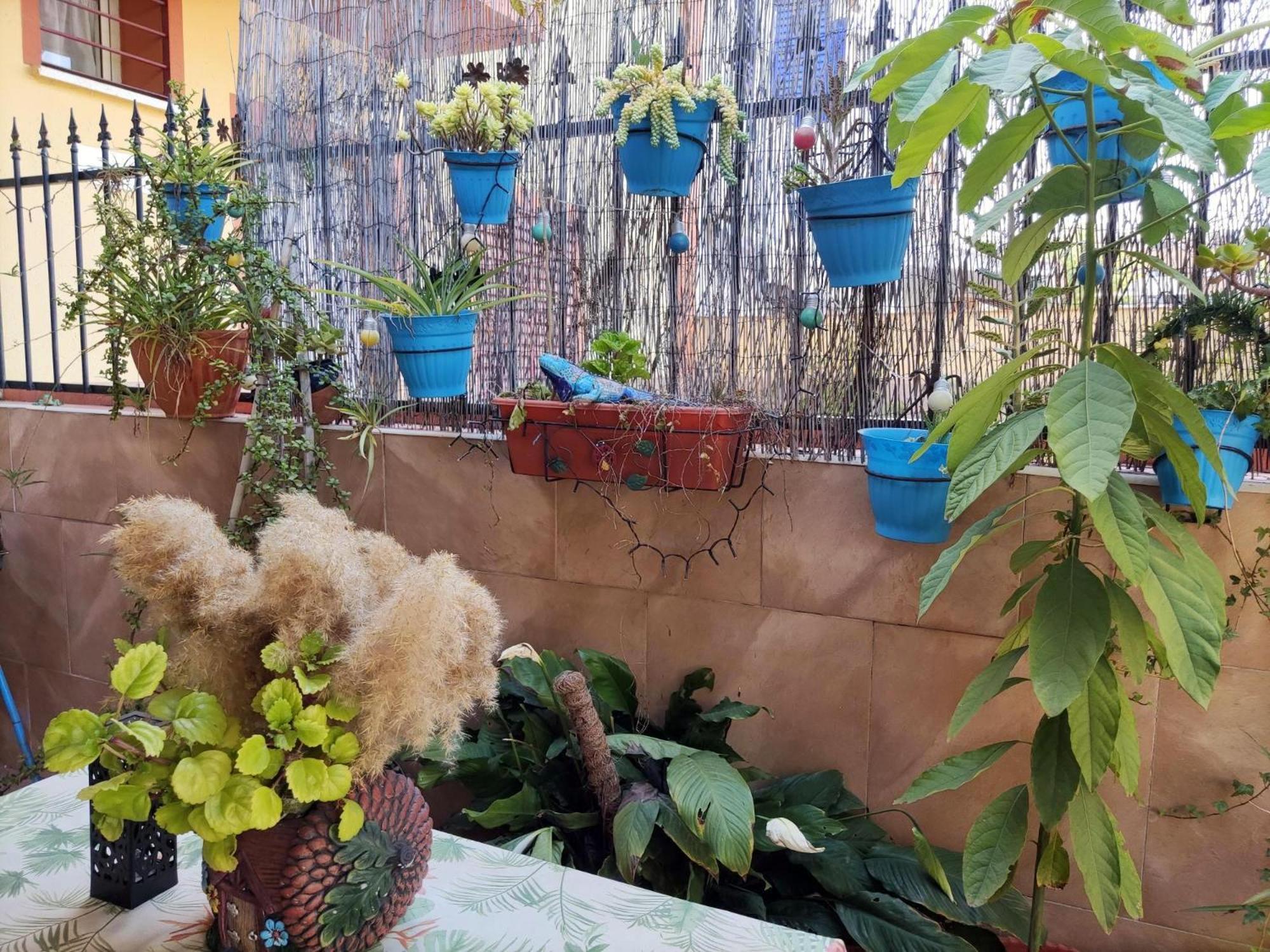 Cool Garden * Mairena del Aljarafe